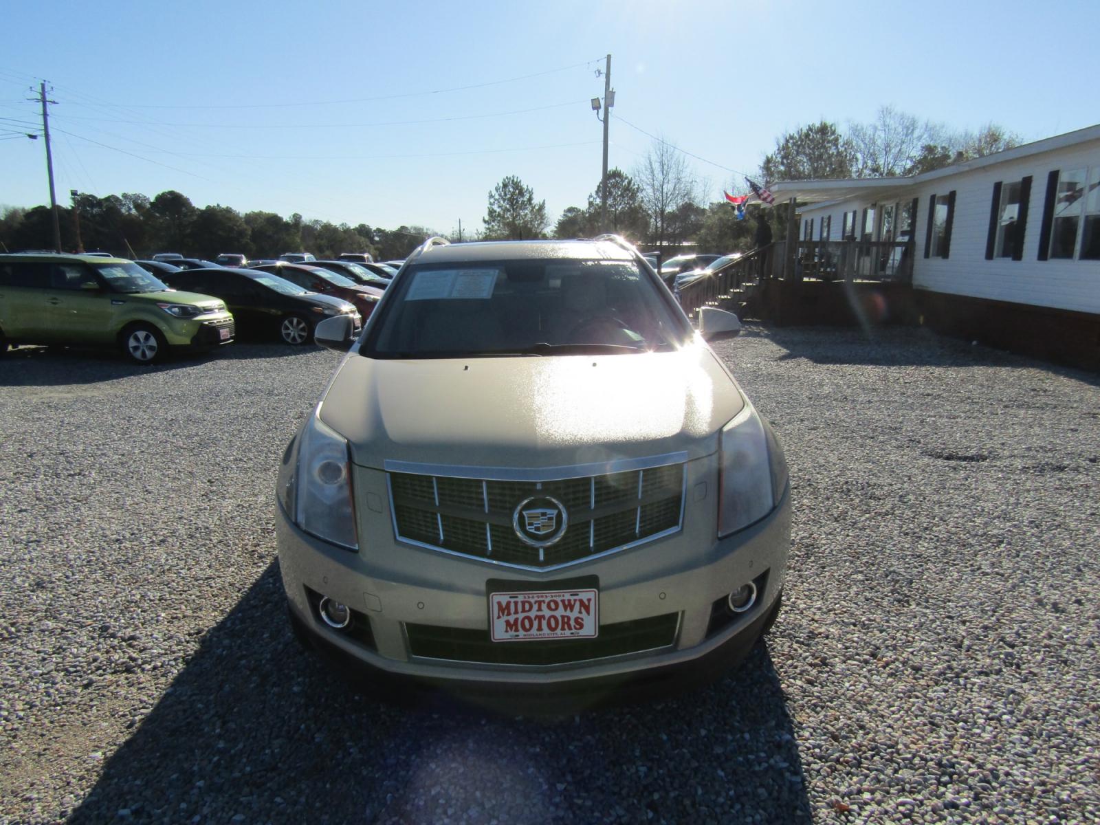 2012 Gold Cadillac SRX Premium (3GYFNCE36CS) with an 3.6L V6 DOHC 24V FFV engine, Automatic transmission, located at 15016 S Hwy 231, Midland City, AL, 36350, (334) 983-3001, 31.306210, -85.495277 - Photo #1